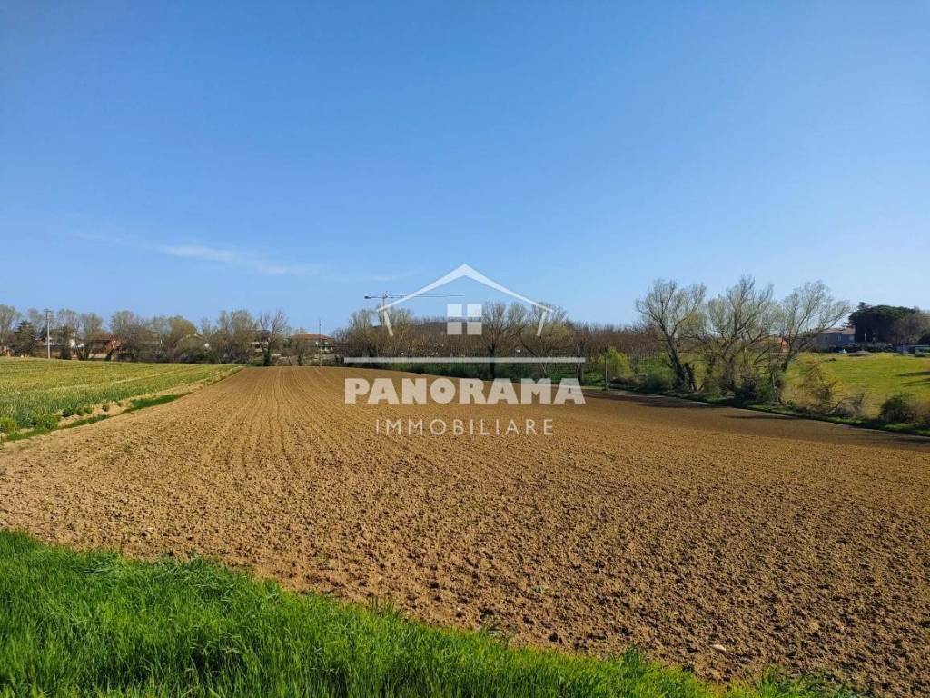 immagine annuncio 4 di 7