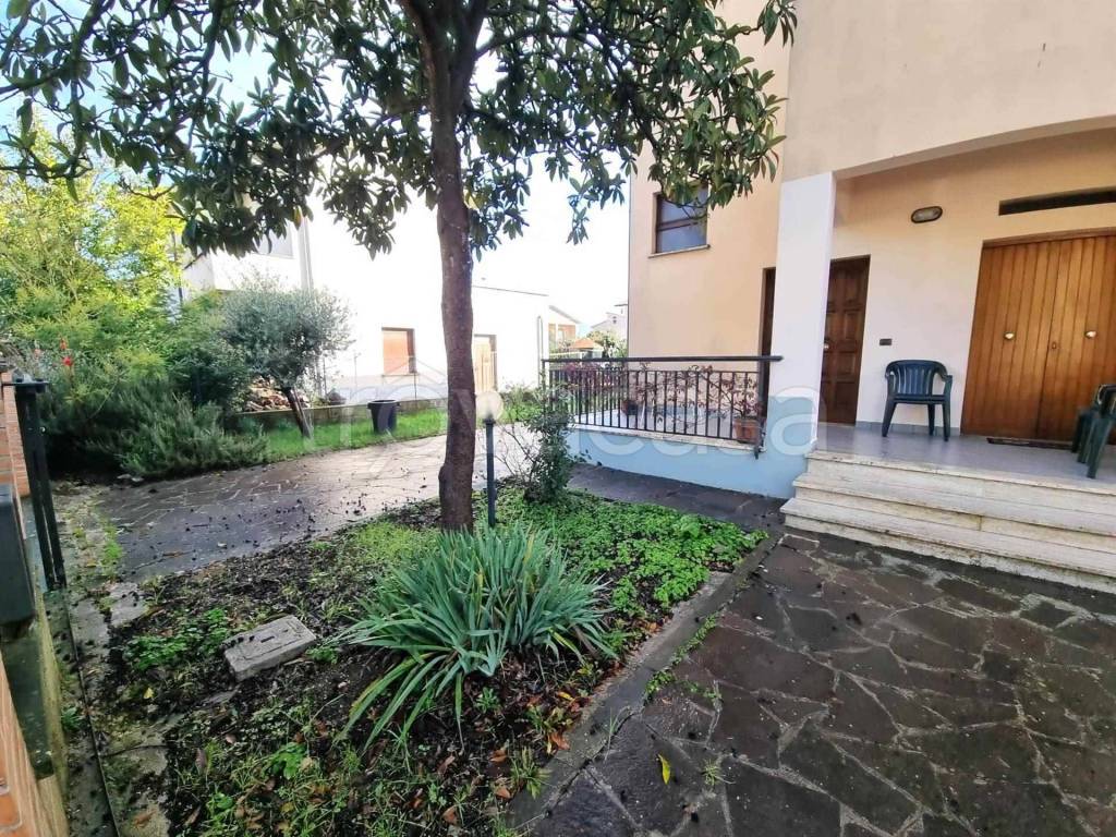 immagine annuncio 6 di 12