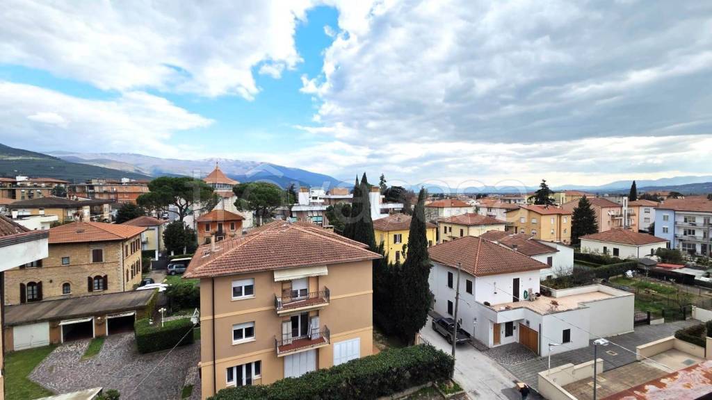 immagine annuncio 10 di 14