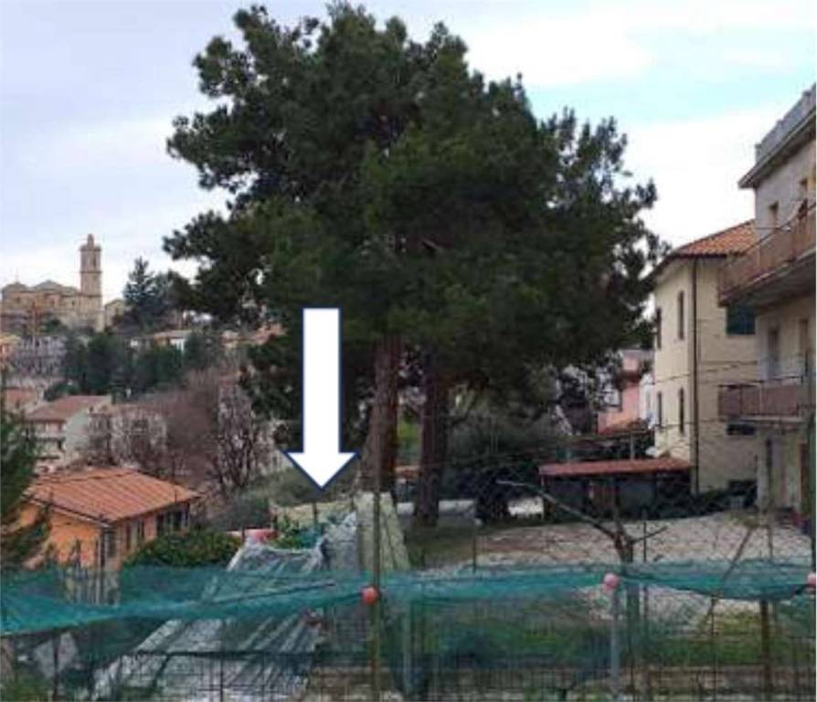 immagine annuncio 9 di 13