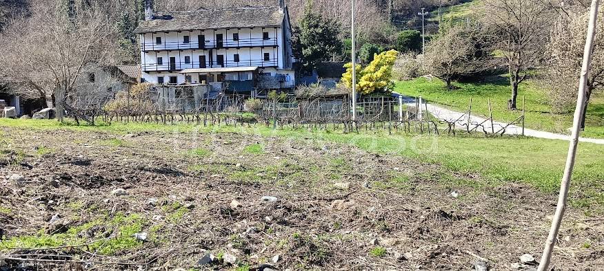 immagine annuncio 1 di 4