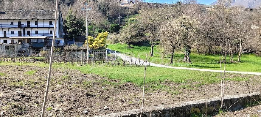 immagine annuncio 3 di 4