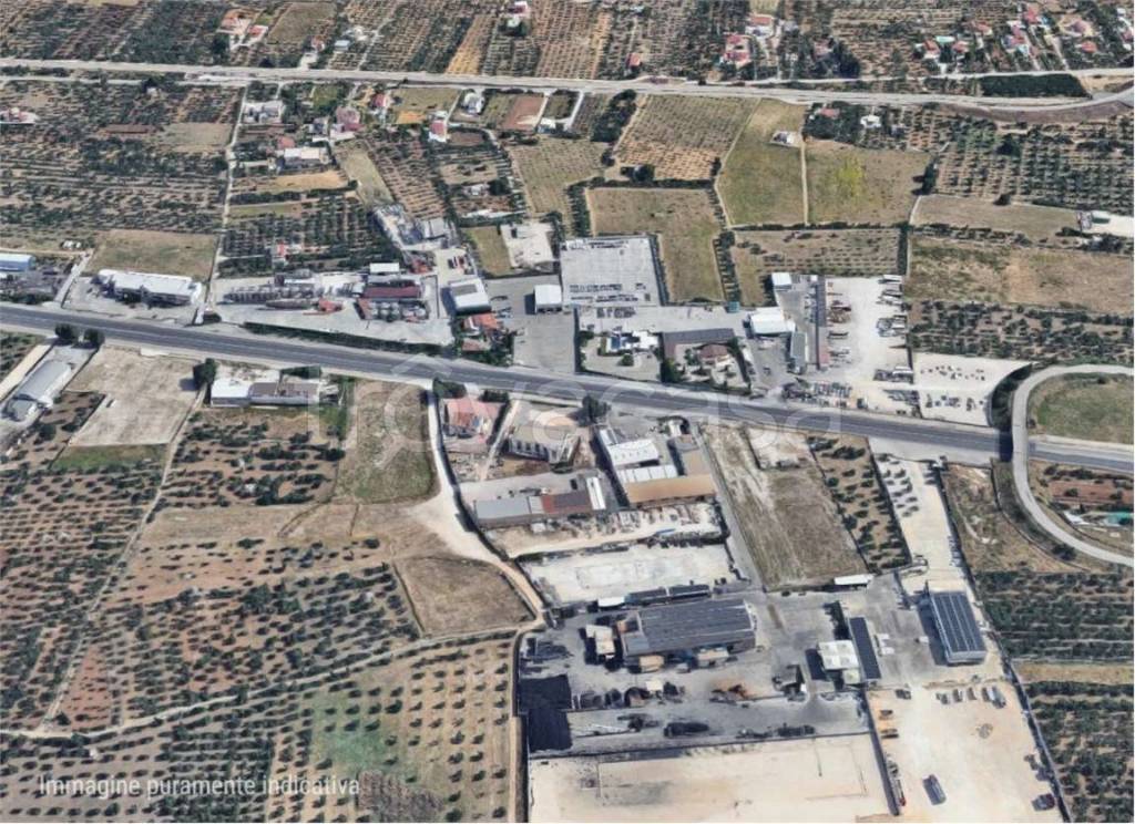 immagine annuncio 11 di 12