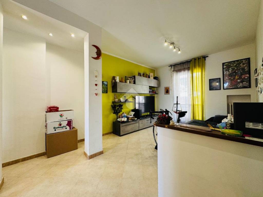 immagine annuncio 1 di 14