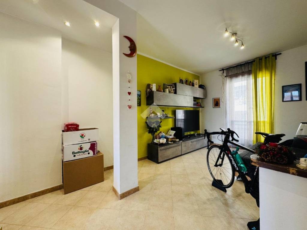 immagine annuncio 2 di 14