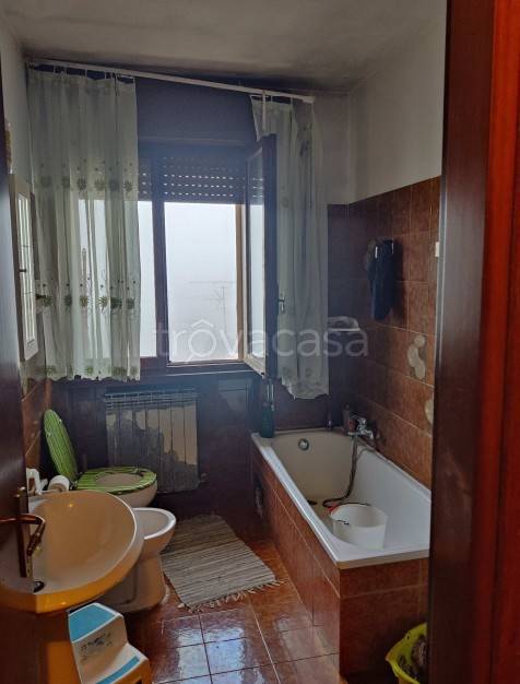 immagine annuncio 8 di 14