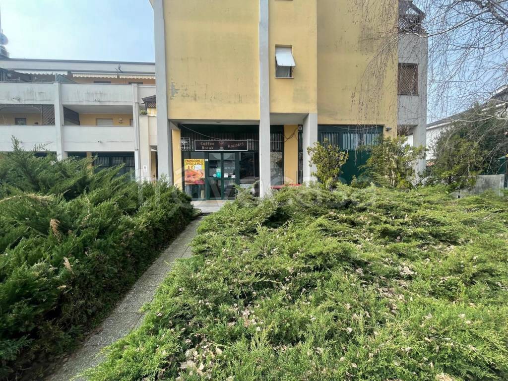 immagine annuncio 3 di 15