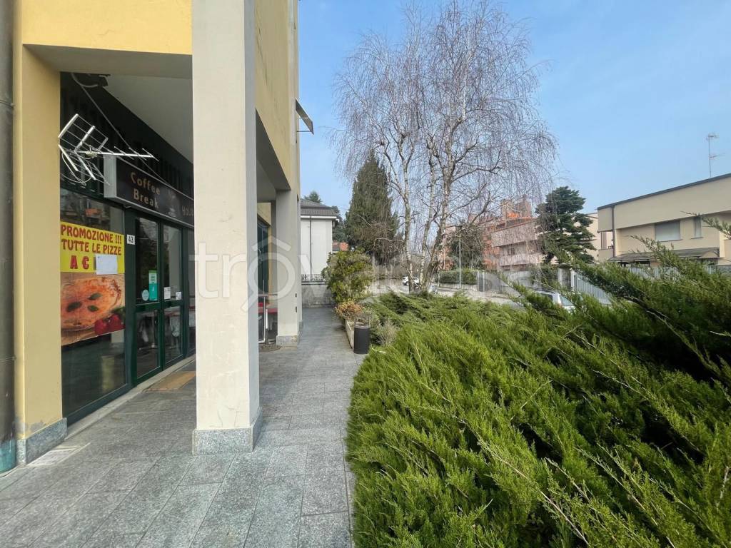 immagine annuncio 4 di 15