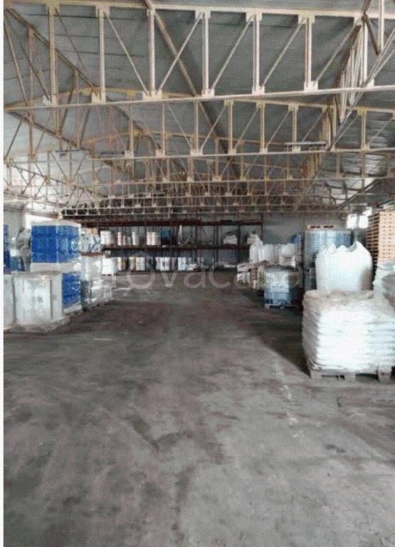 immagine annuncio 3 di 8