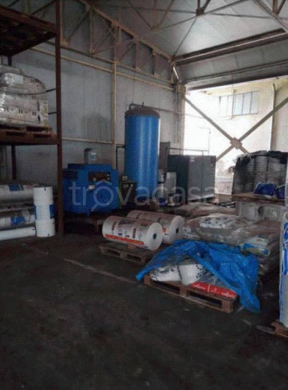 immagine annuncio 4 di 8