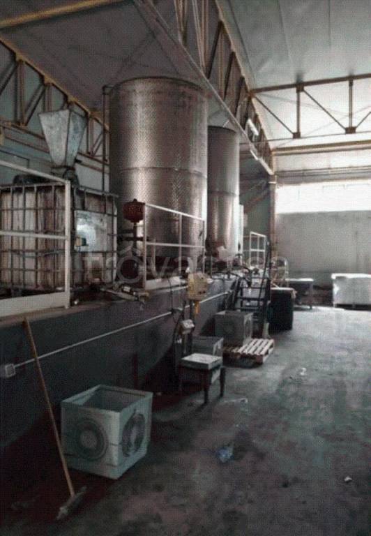 immagine annuncio 6 di 8