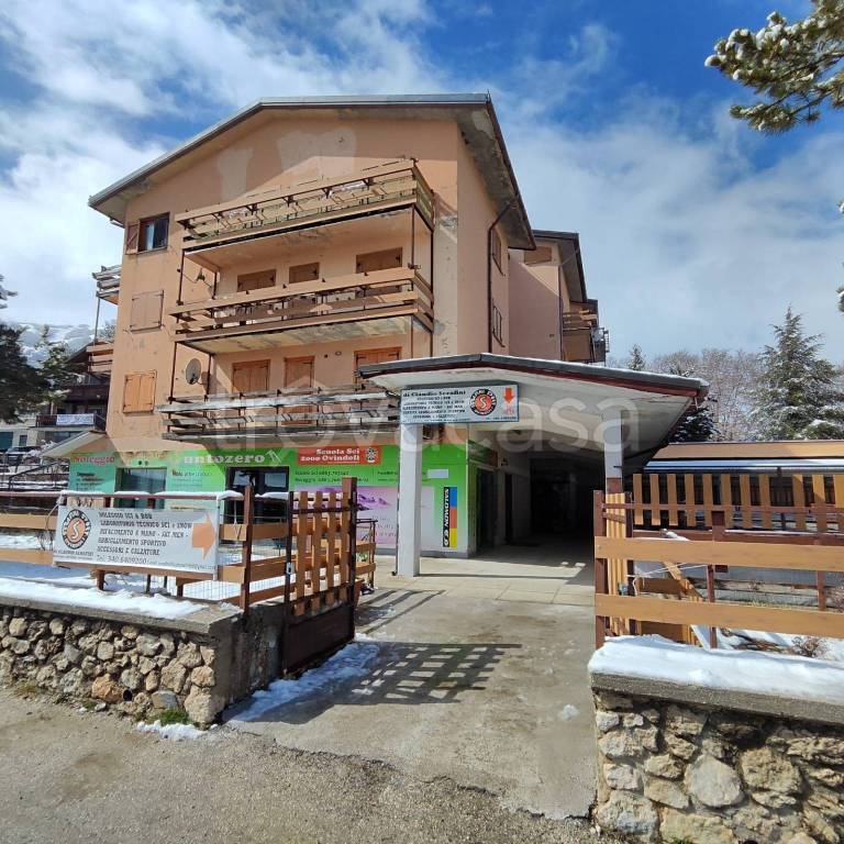 immagine annuncio 1 di 11