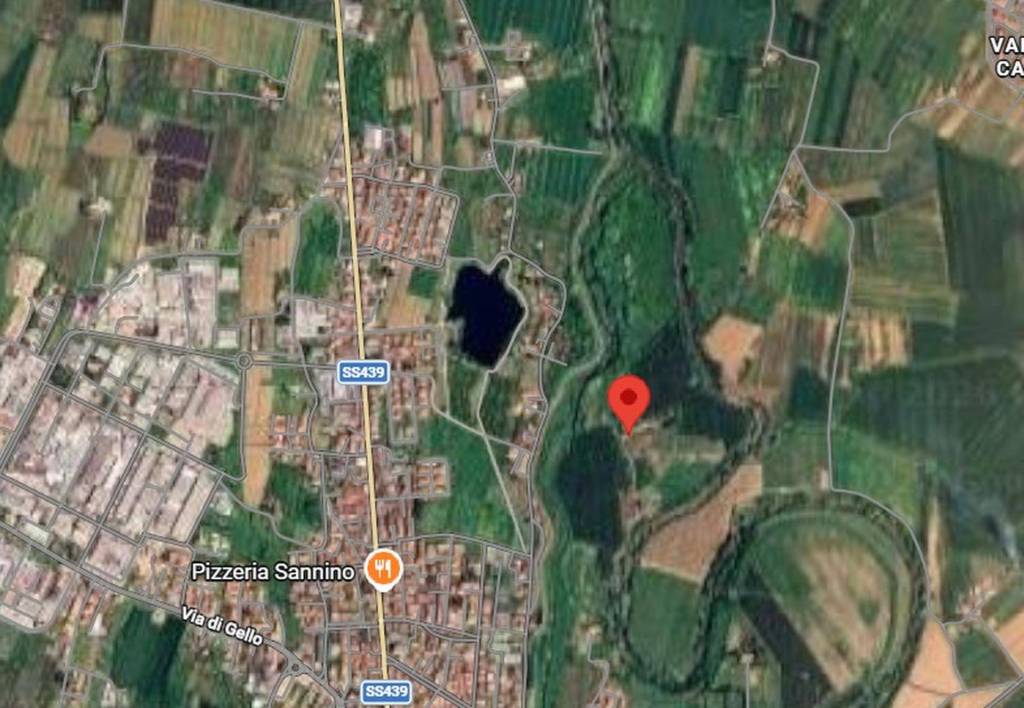 immagine annuncio 4 di 11