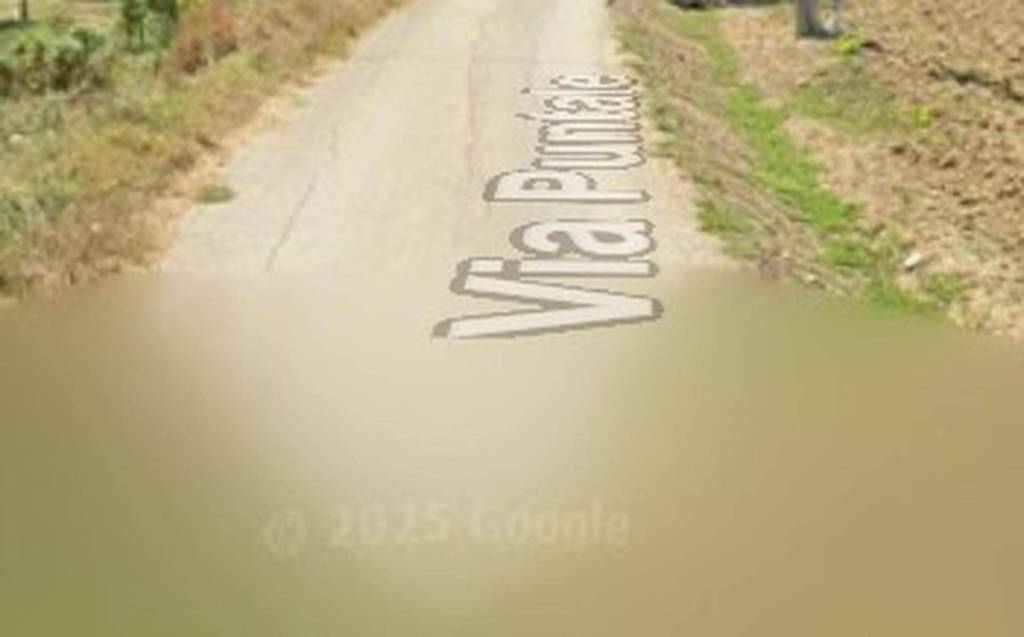 immagine annuncio 6 di 11