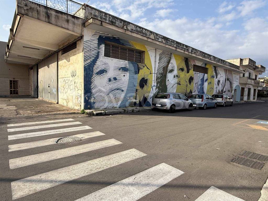 immagine annuncio 1 di 11