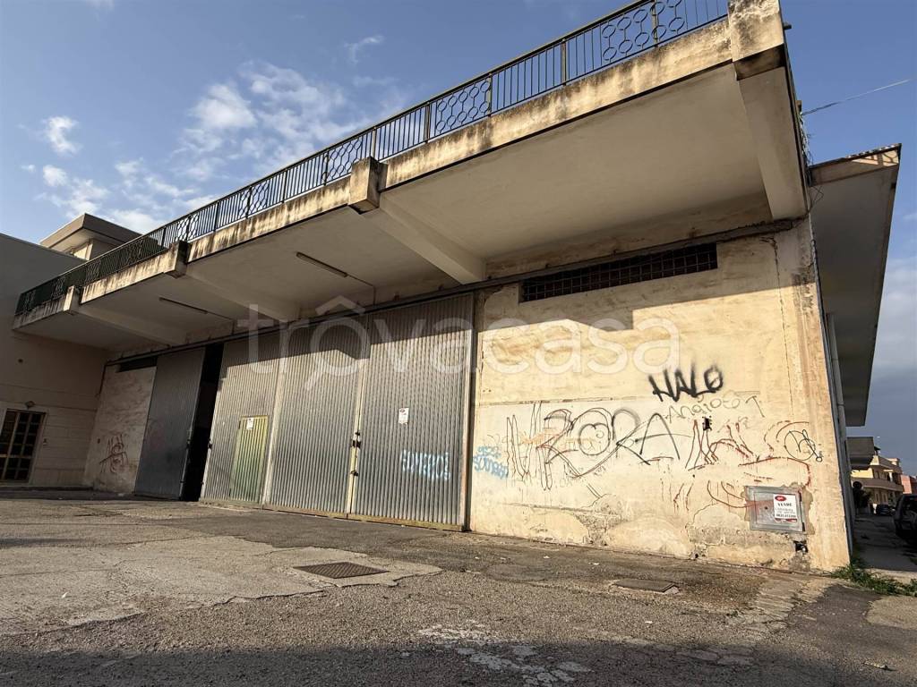 immagine annuncio 2 di 11