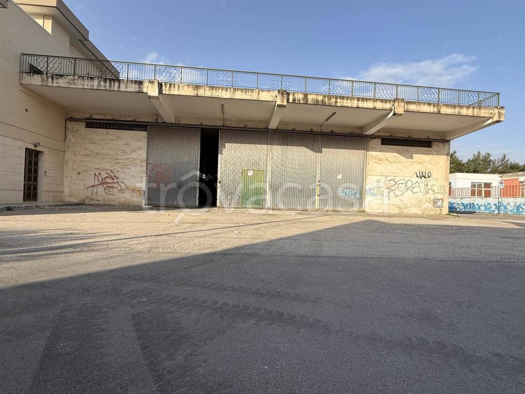 immagine annuncio 3 di 11