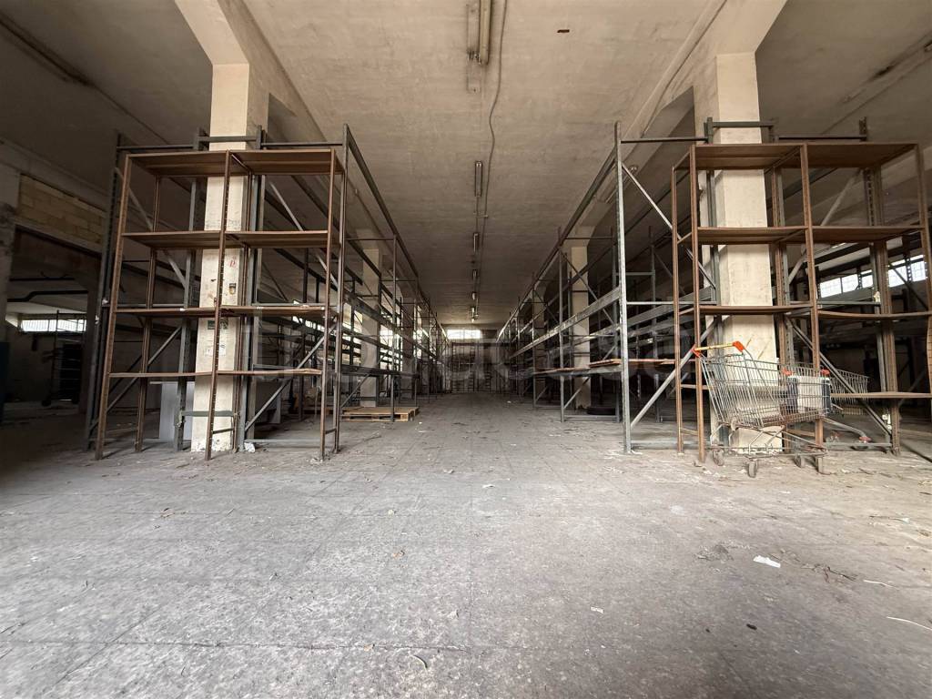 immagine annuncio 5 di 11