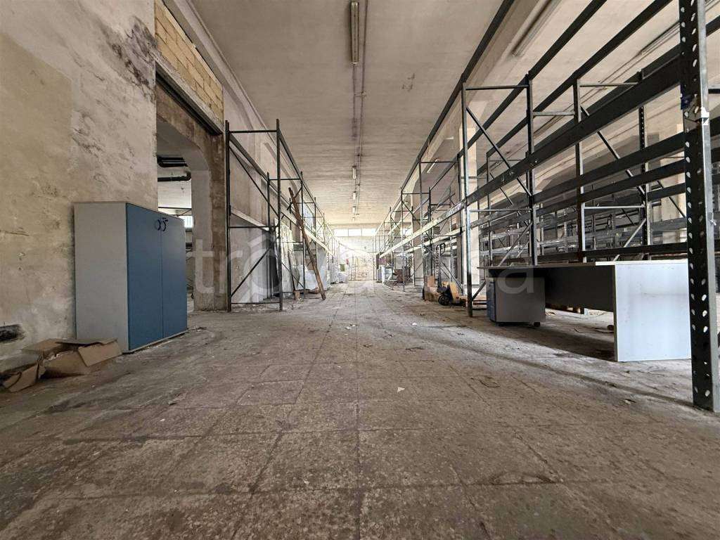 immagine annuncio 6 di 11