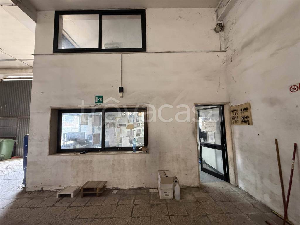 immagine annuncio 9 di 11