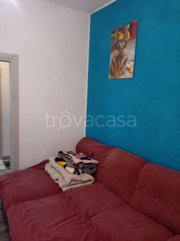 immagine annuncio 7 di 13