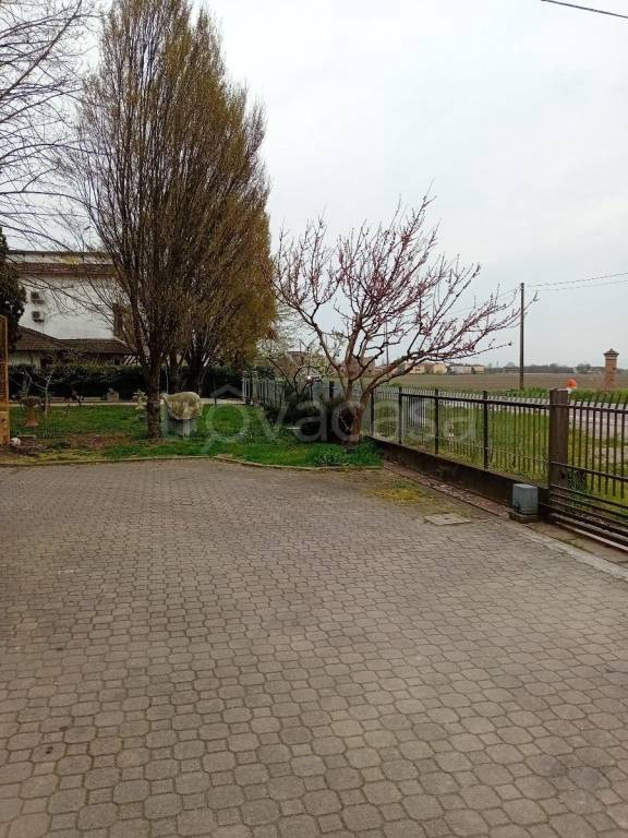 immagine annuncio 11 di 13