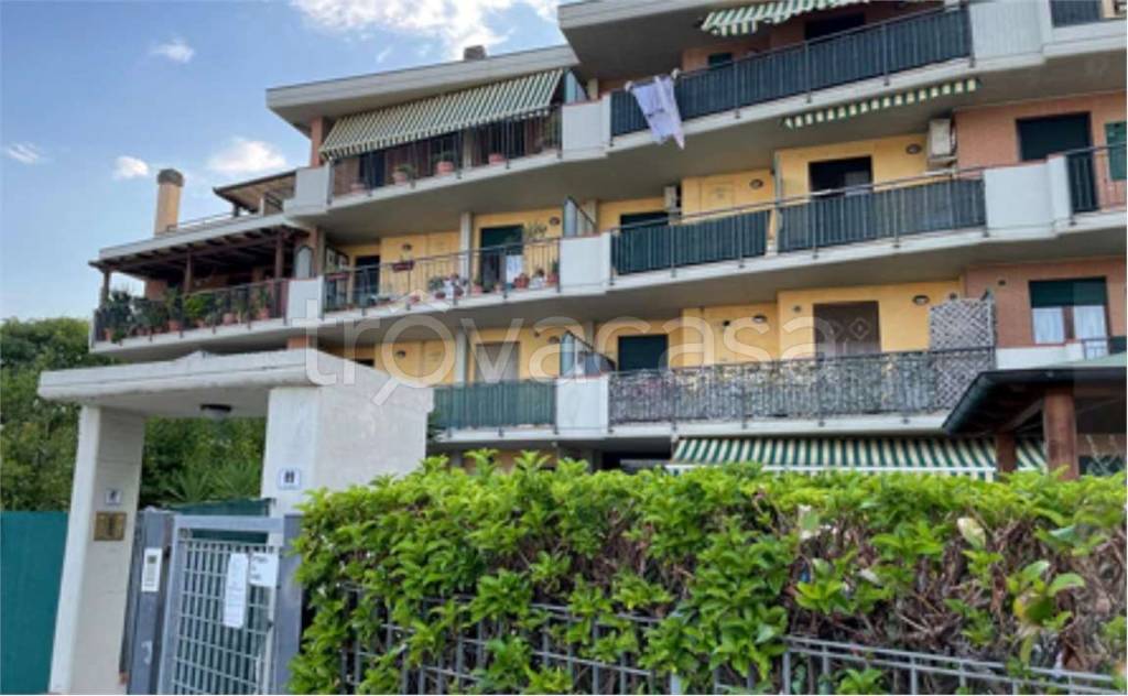 immagine annuncio 3 di 11