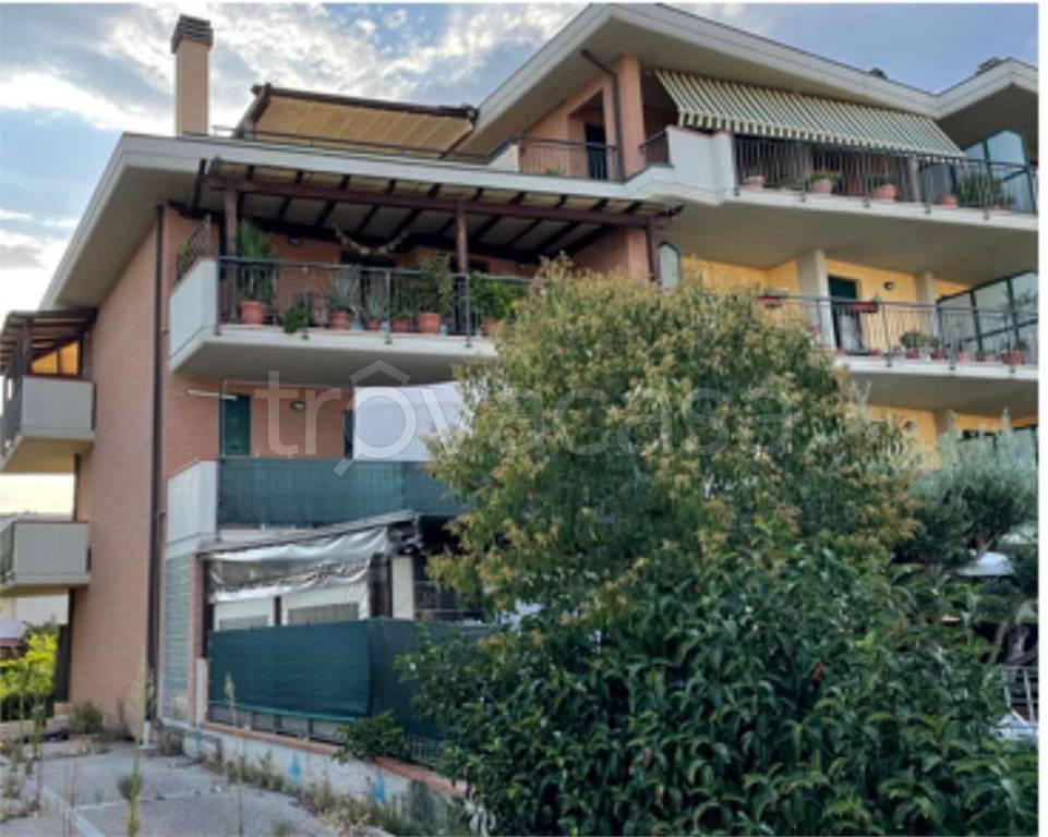 immagine annuncio 4 di 11