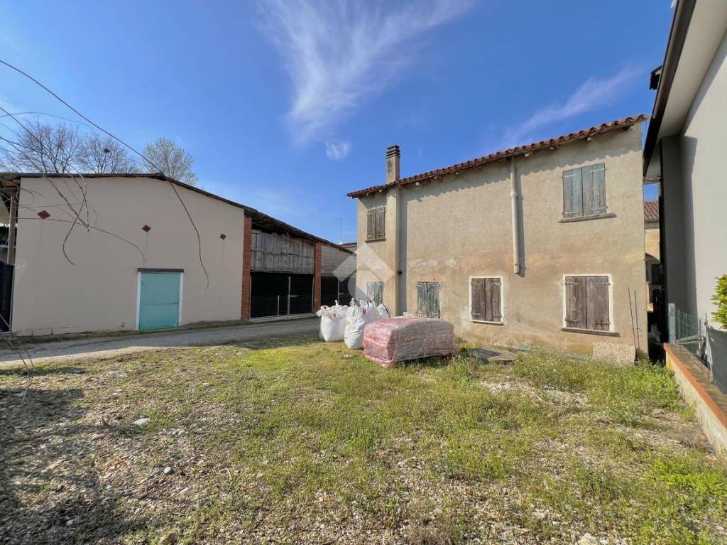 immagine annuncio 3 di 14