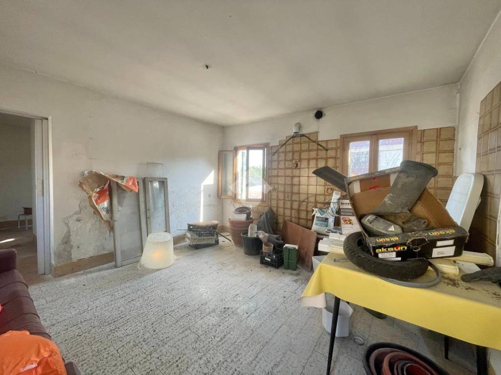 immagine annuncio 12 di 14