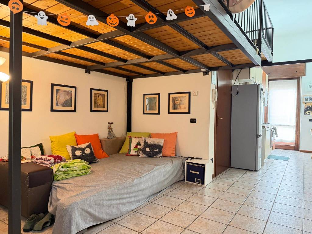 immagine annuncio 6 di 15