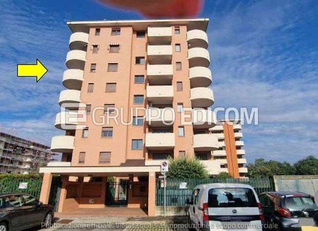 immagine annuncio 2 di 10