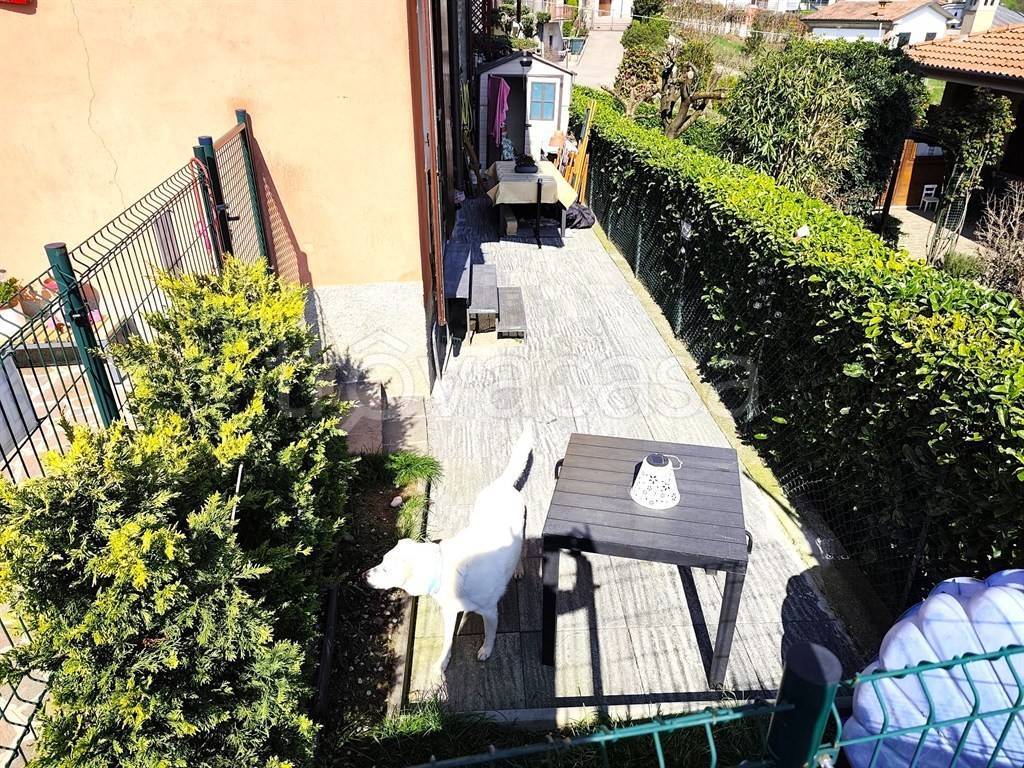 immagine annuncio 8 di 15