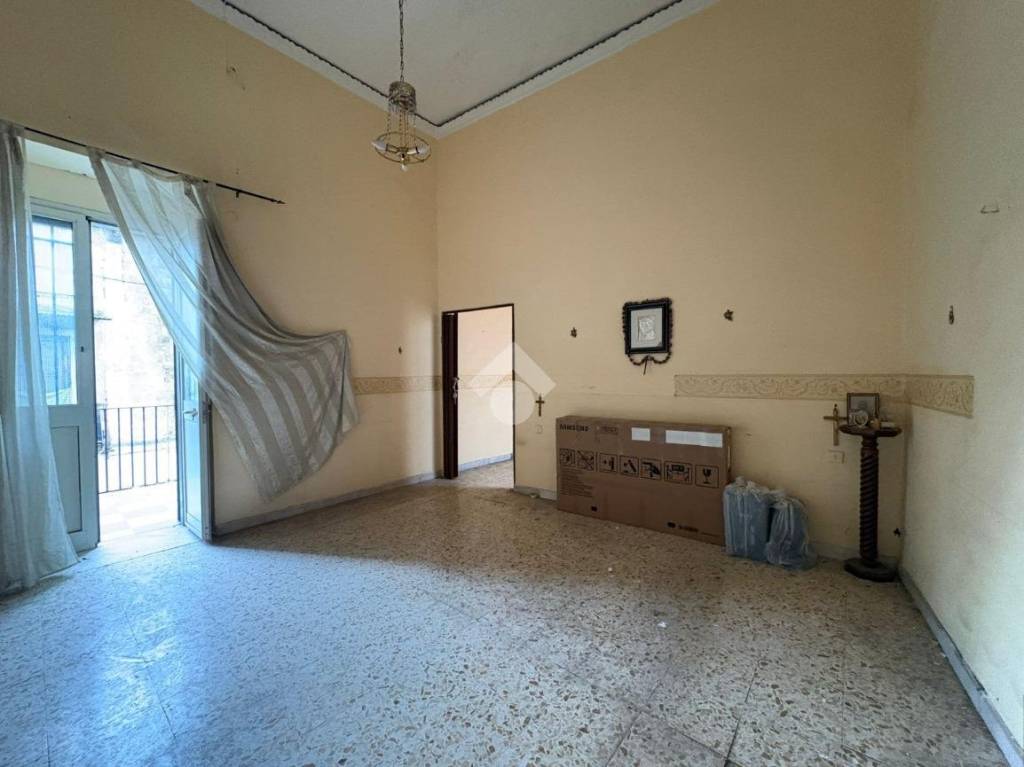 immagine annuncio 9 di 14