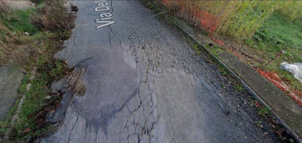 immagine annuncio 4 di 11