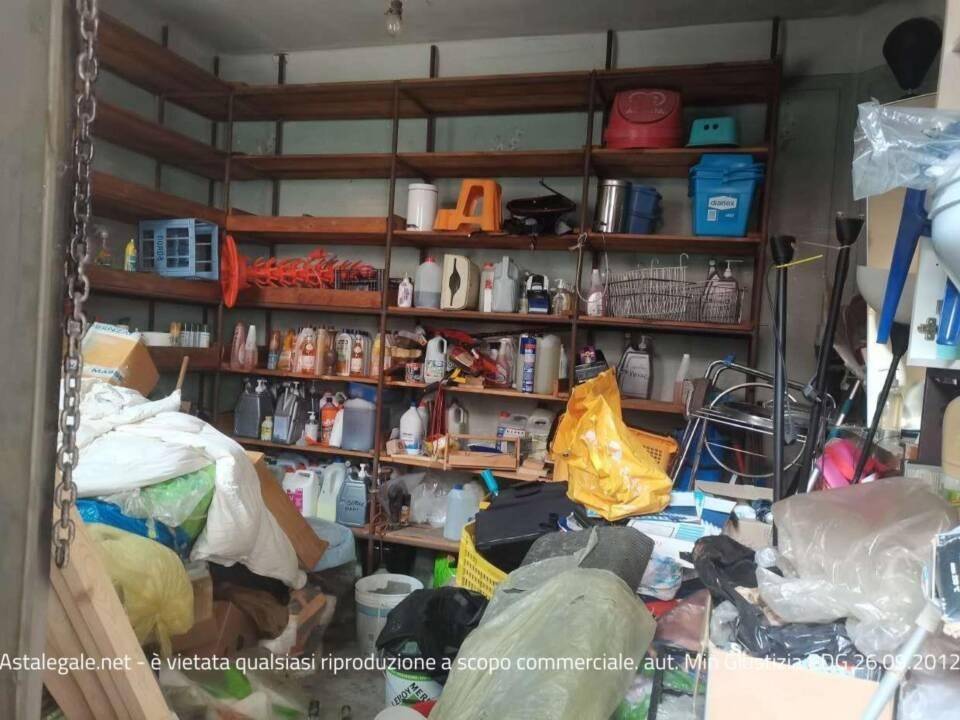 immagine annuncio 9 di 15