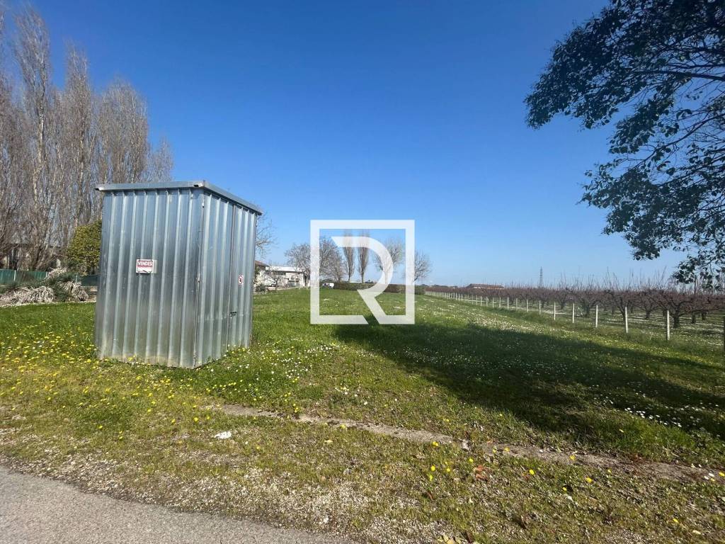 immagine annuncio 12 di 13