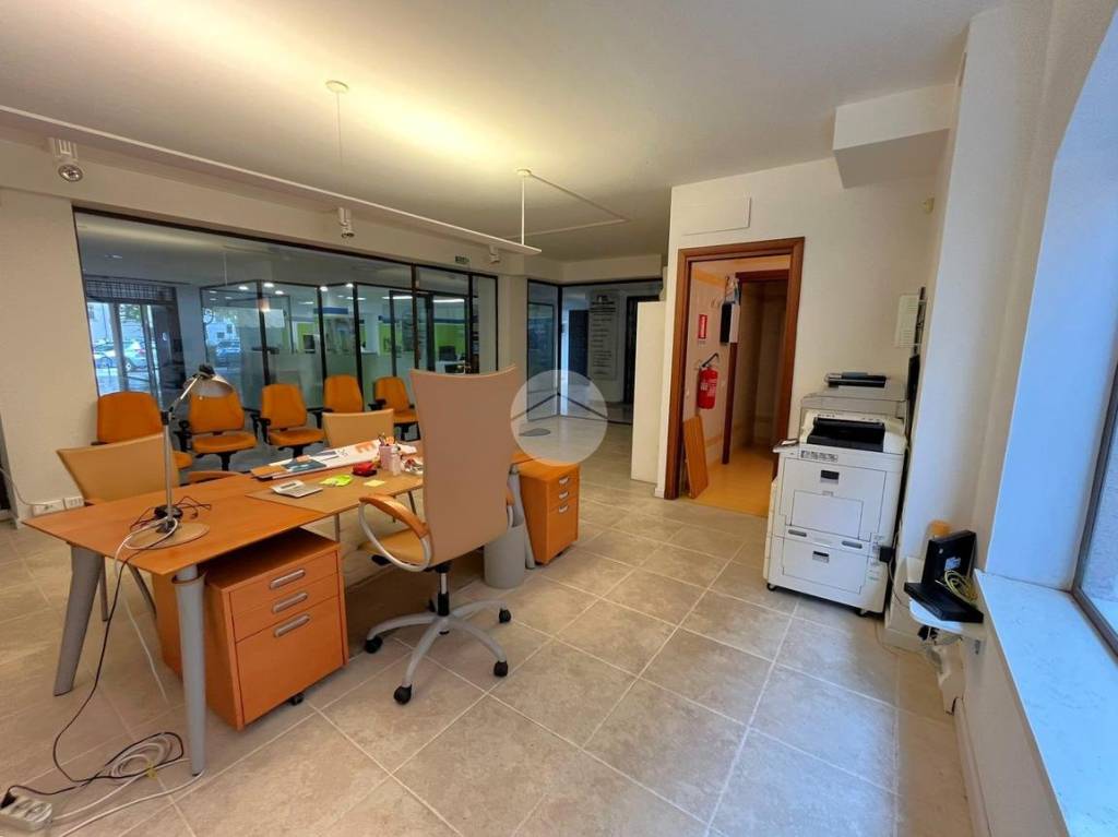 immagine annuncio 5 di 14