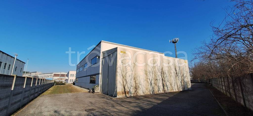 immagine annuncio 3 di 15