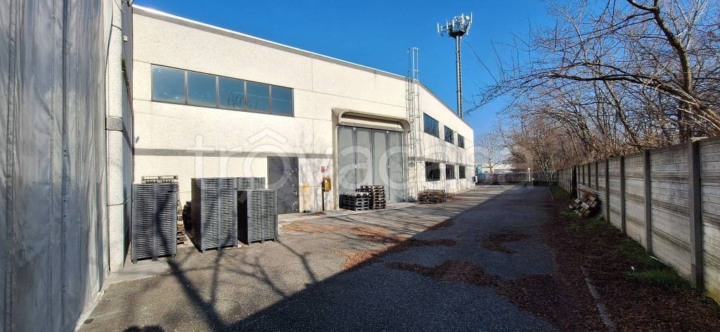 immagine annuncio 4 di 15