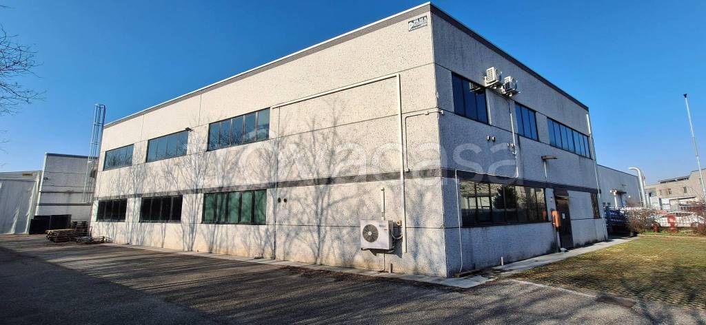 immagine annuncio 5 di 15