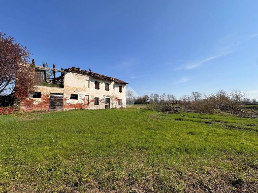 immagine annuncio 5 di 13