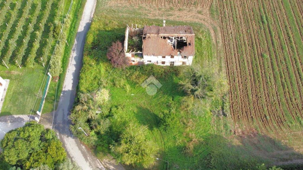 immagine annuncio 11 di 13