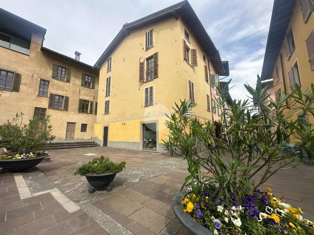 immagine annuncio 12 di 15