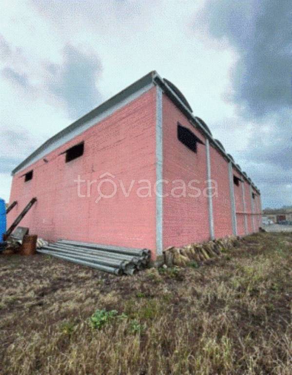 immagine annuncio 8 di 13
