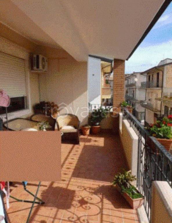 immagine annuncio 10 di 14