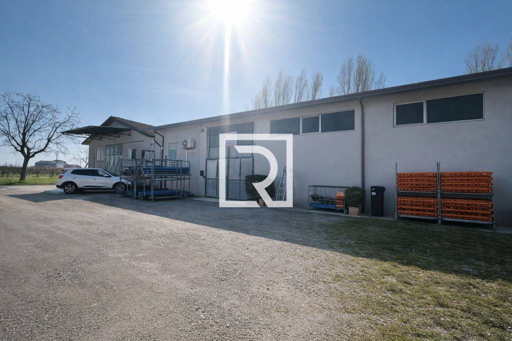 immagine annuncio 1 di 11