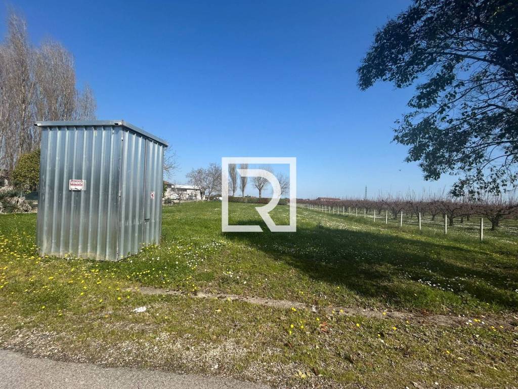 immagine annuncio 10 di 11