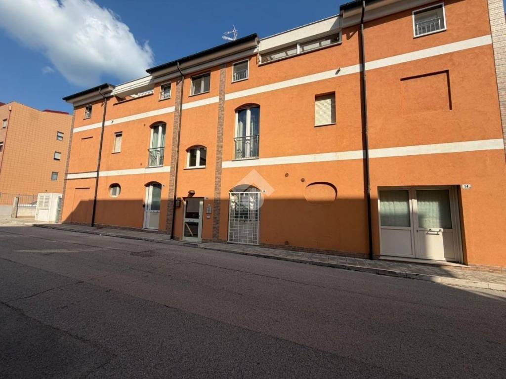 immagine annuncio 12 di 13