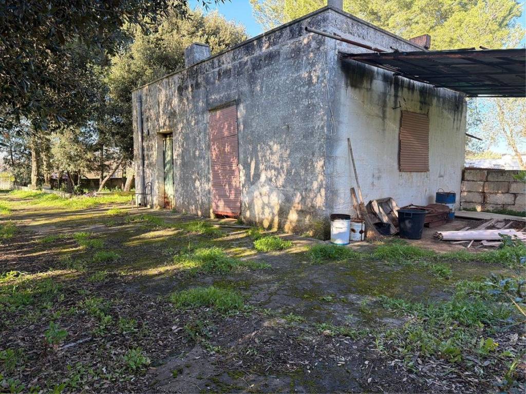 immagine annuncio 11 di 15